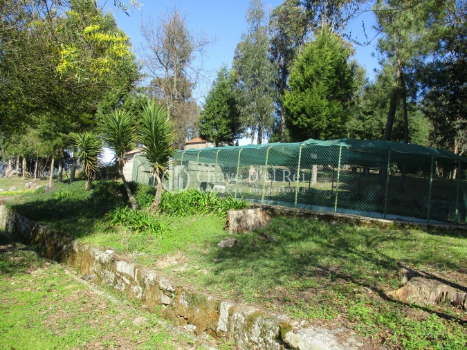 Quinta T5 para Venda em Fornos de Maceira Dão Foto 39