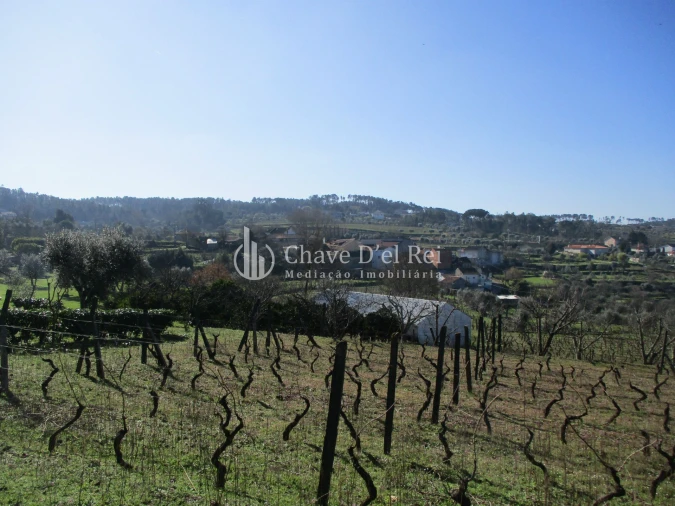 Quinta T5 para Venda em Fornos de Maceira Dão Foto 12