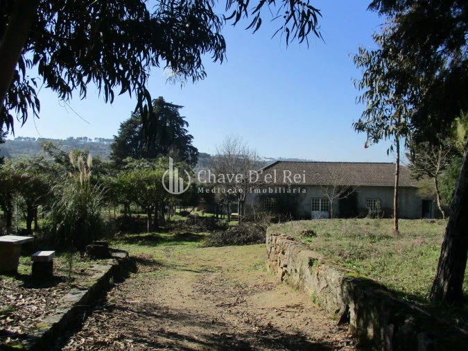 Quinta T5 para Venda em Fornos de Maceira Dão Foto 44