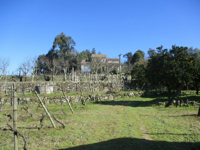 Quinta T5 para Venda em Fornos de Maceira Dão Foto 32