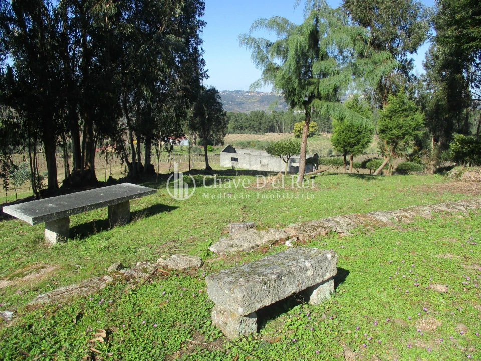 Quinta T5 para Venda em Fornos de Maceira Dão Foto 45
