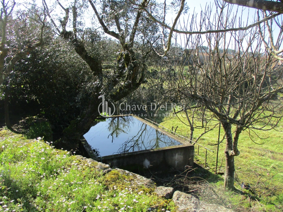 Quinta T5 para Venda em Fornos de Maceira Dão Foto 23
