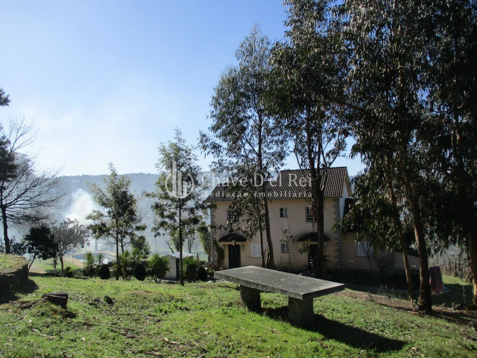 Quinta T5 para Venda em Fornos de Maceira Dão Foto 5