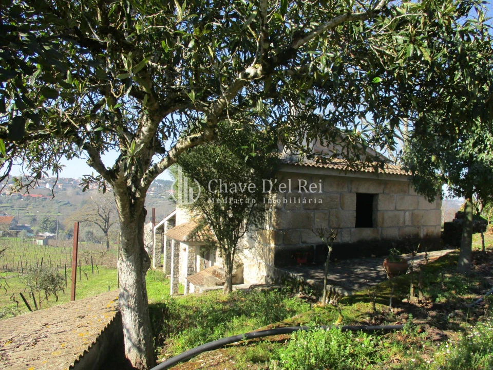 Quinta T5 para Venda em Fornos de Maceira Dão Foto 29