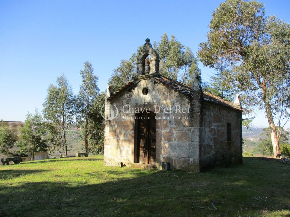 Quinta T5 para Venda em Fornos de Maceira Dão Foto 7