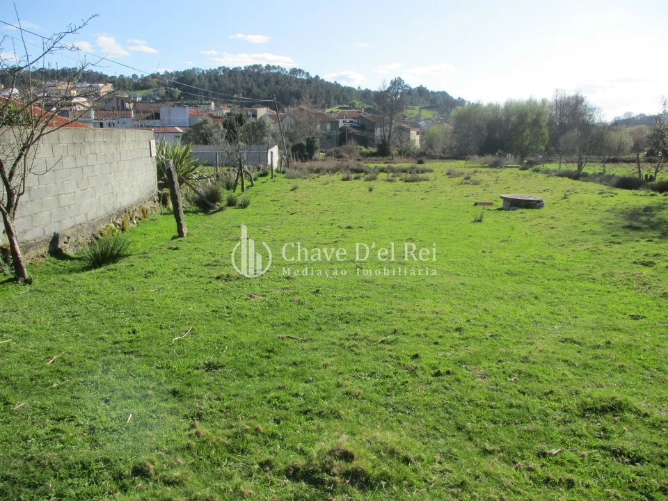 Terreno para Venda em Campo Foto 7