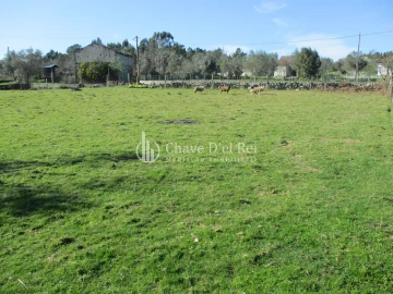 Terreno para Venda em Campo