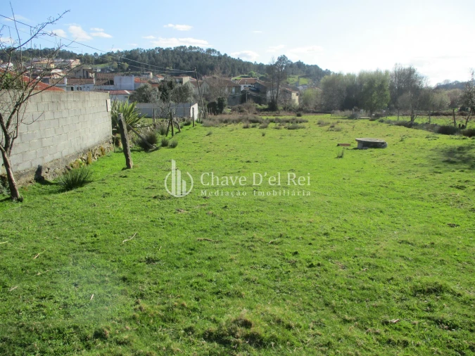 Terreno para Venda em Campo Foto 7
