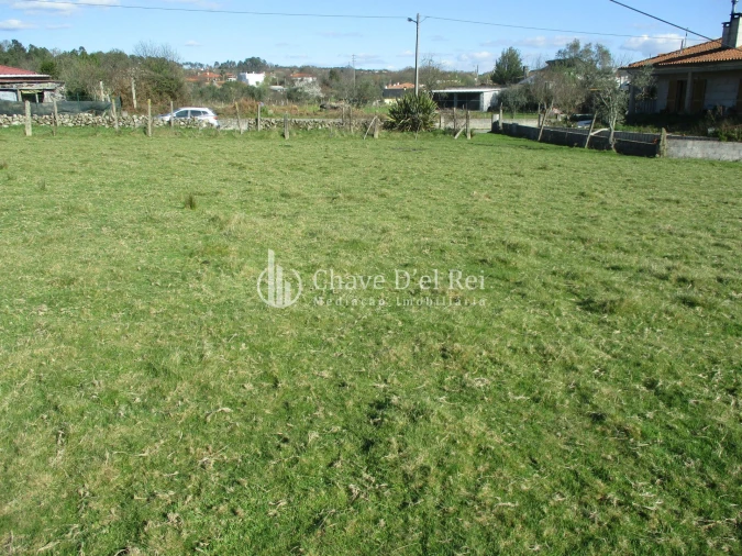 Terreno para Venda em Campo Foto 5