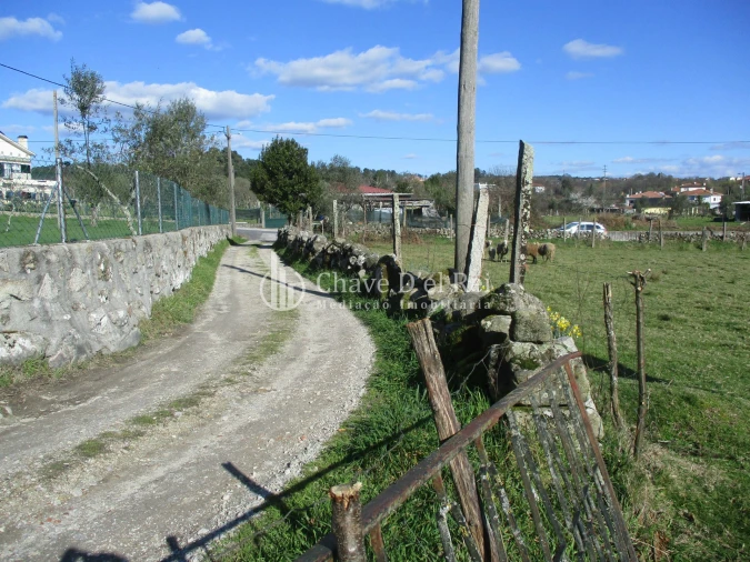 Terreno para Venda em Campo Foto 6
