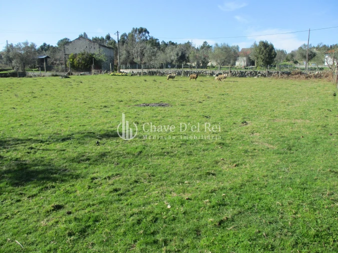 Terreno para Venda em Campo Foto 2