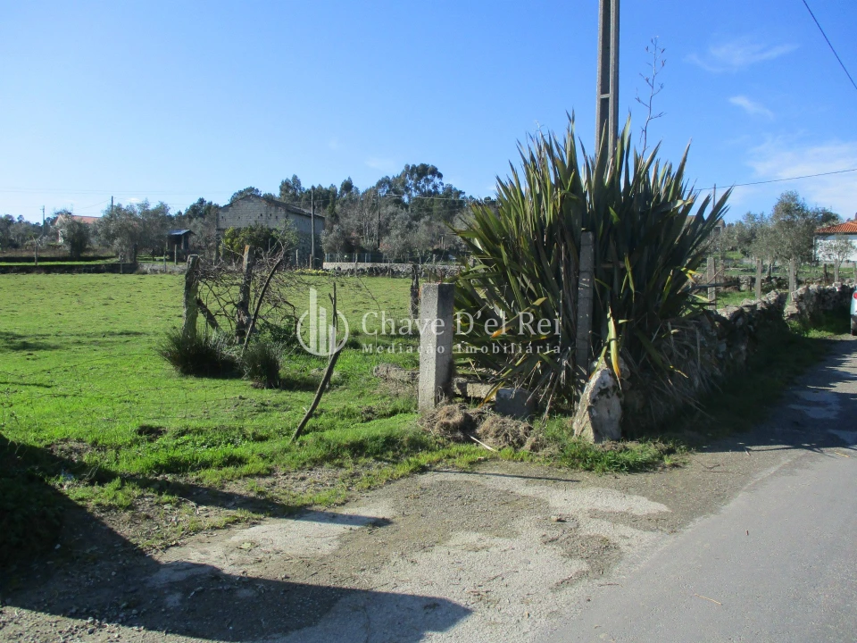 Terreno para Venda em Campo Foto 1
