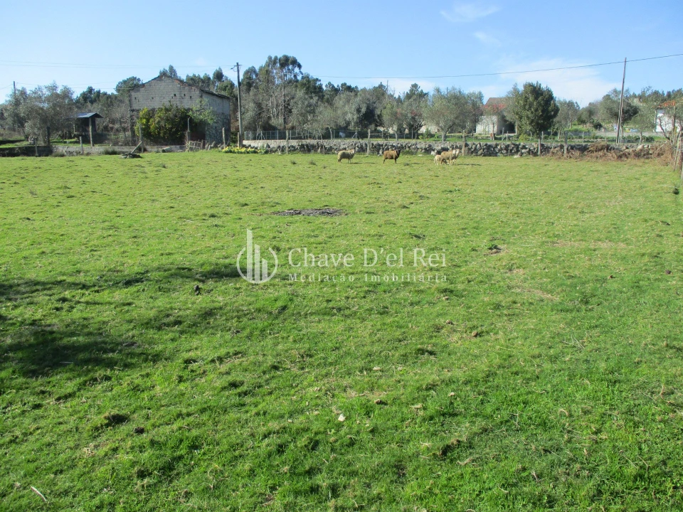Terreno para Venda em Campo Foto 2