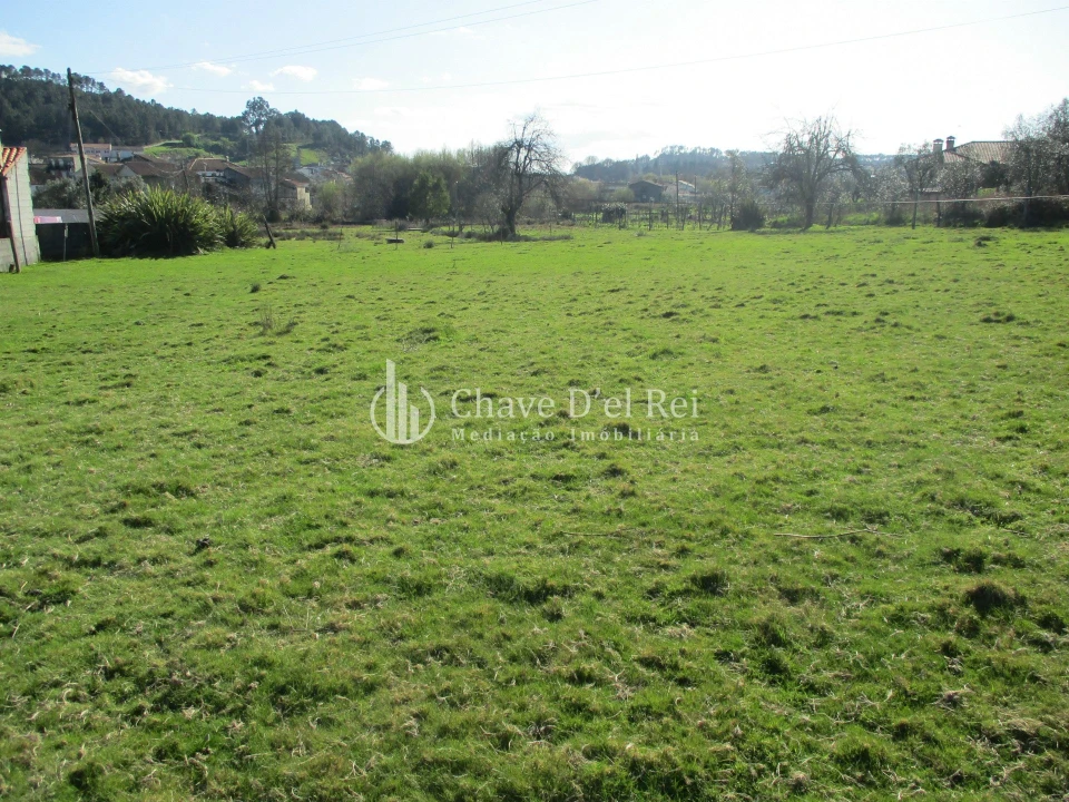 Terreno para Venda em Campo Foto 4