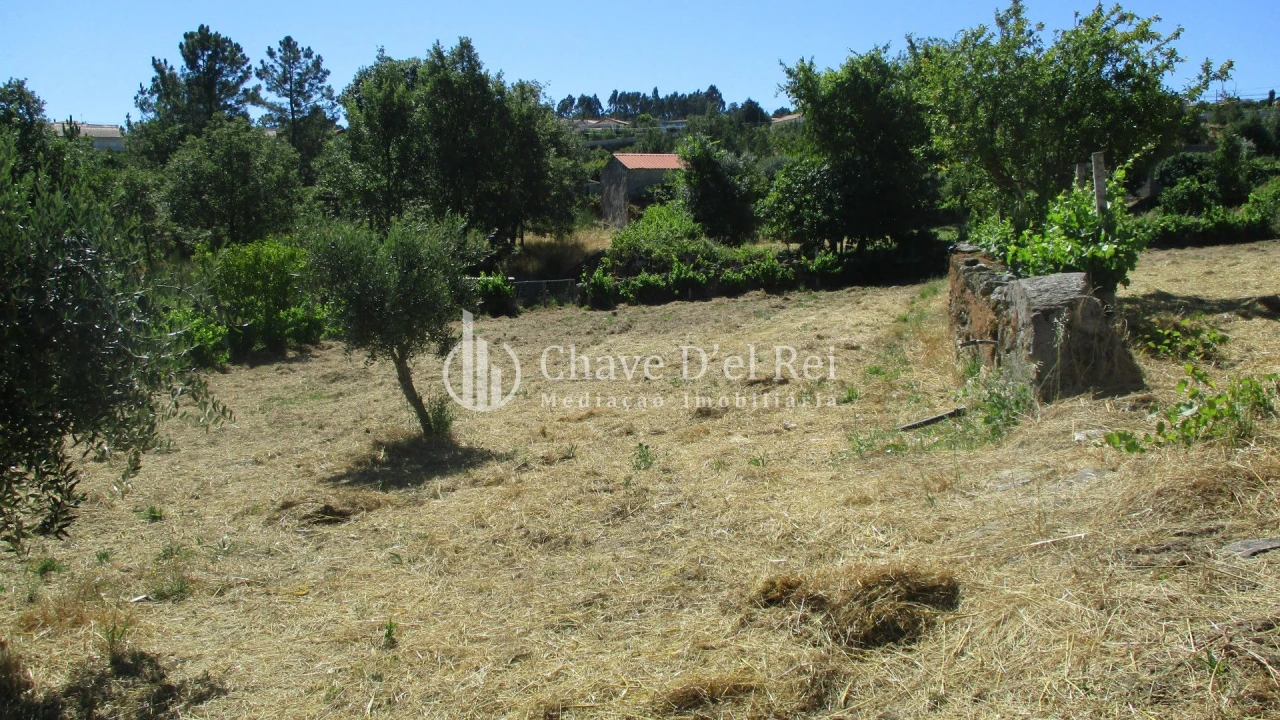 Quinta T0 para Venda em Freixiosa Foto 9