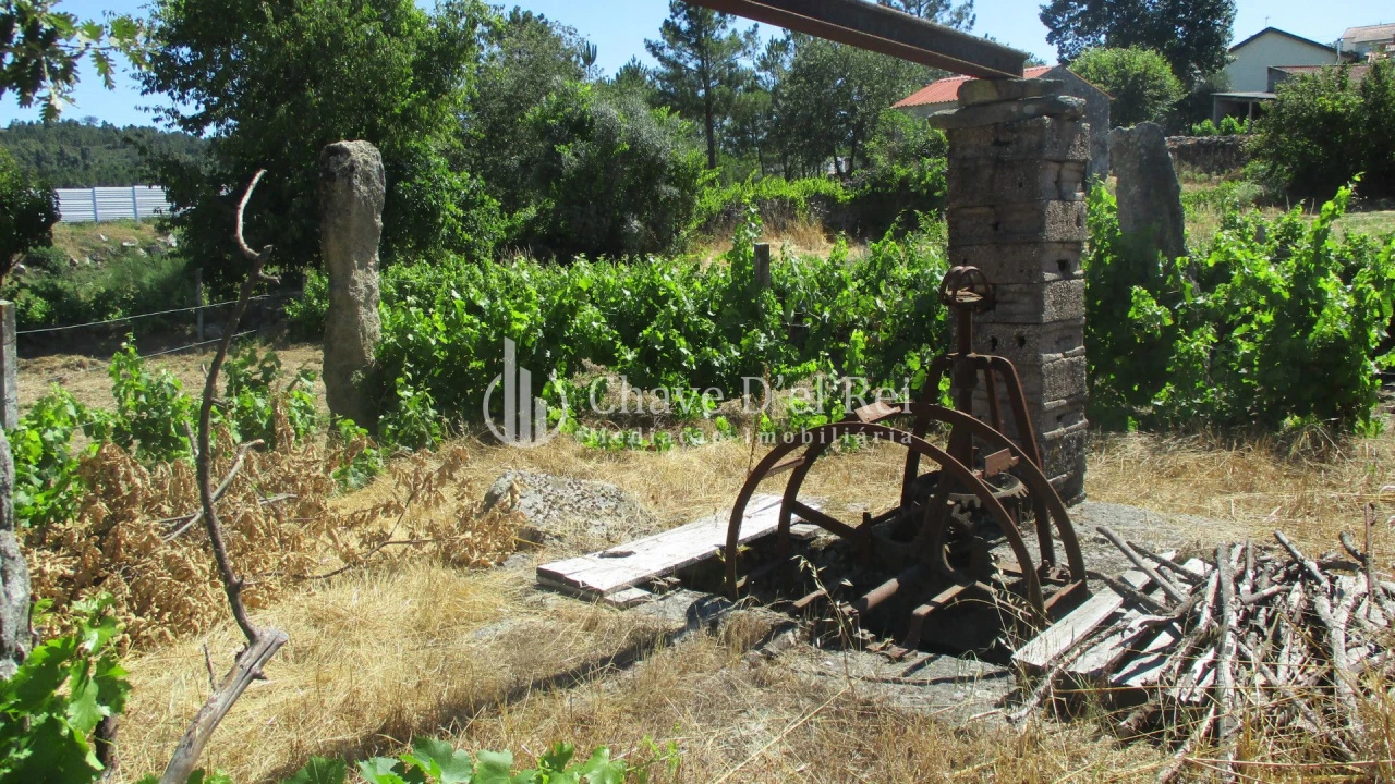 Quinta T0 para Venda em Freixiosa Foto 22