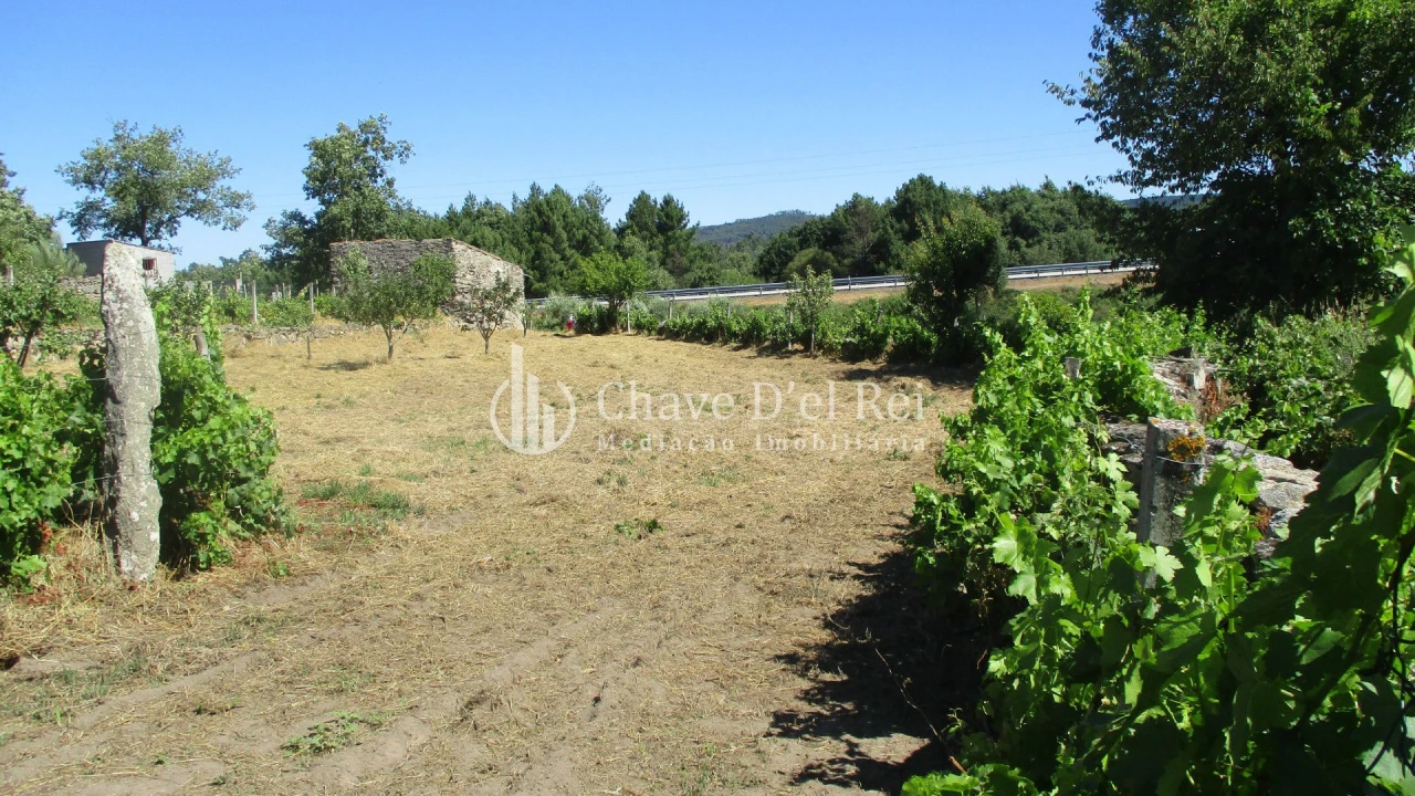 Quinta T0 para Venda em Freixiosa Foto 24