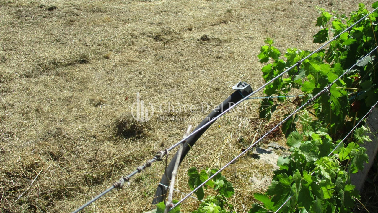 Quinta T0 para Venda em Freixiosa Foto 26