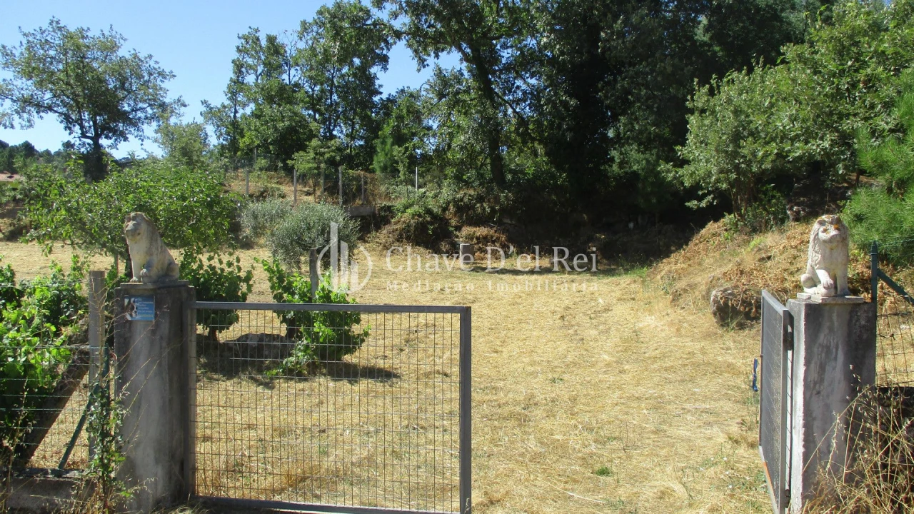Quinta T0 para Venda em Freixiosa Foto 1