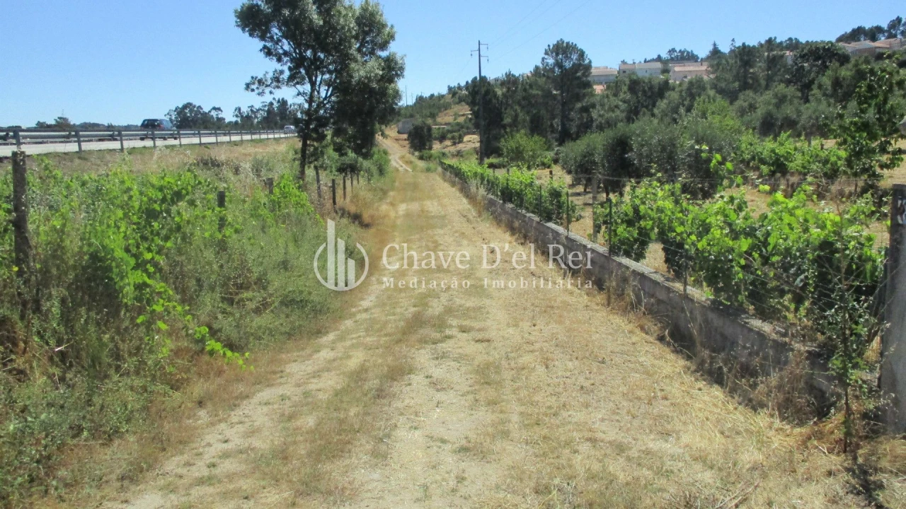 Quinta T0 para Venda em Freixiosa Foto 31