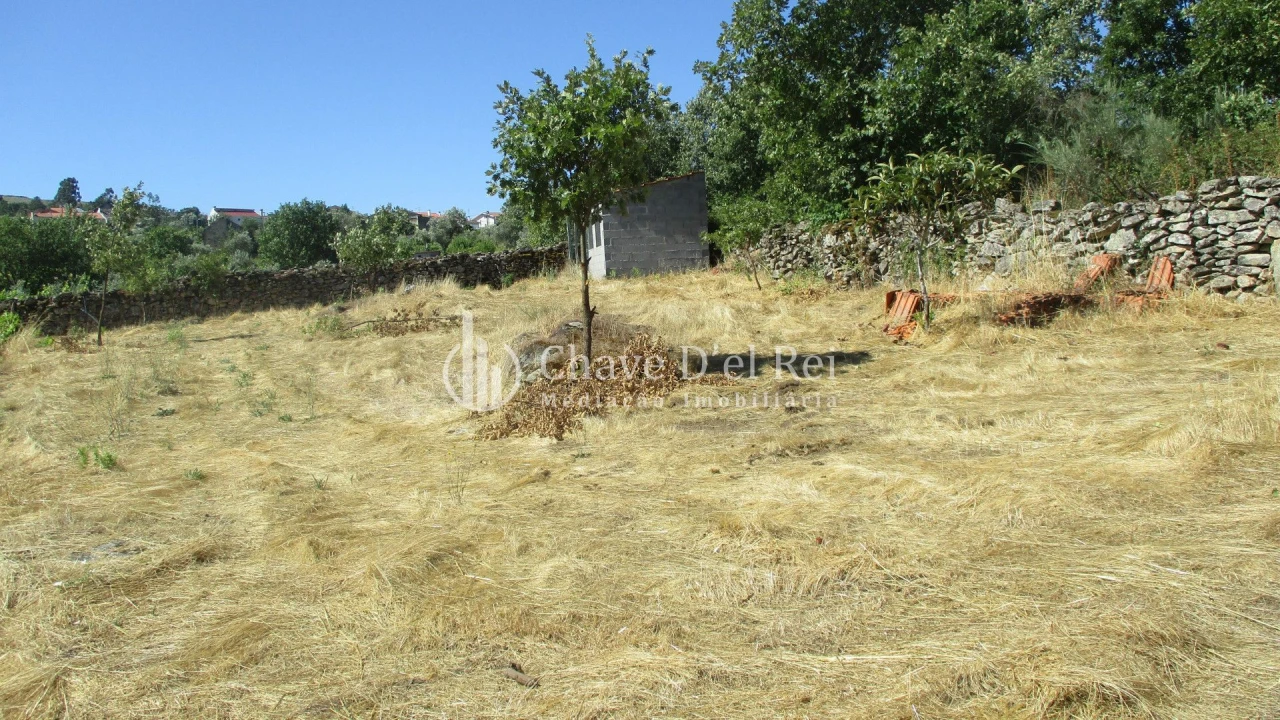 Quinta T0 para Venda em Freixiosa Foto 13