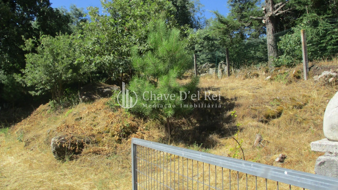Quinta T0 para Venda em Freixiosa Foto 30