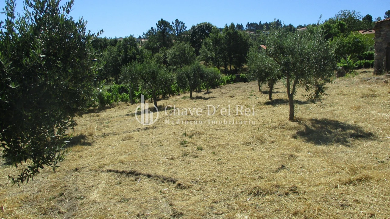 Quinta T0 para Venda em Freixiosa Foto 7