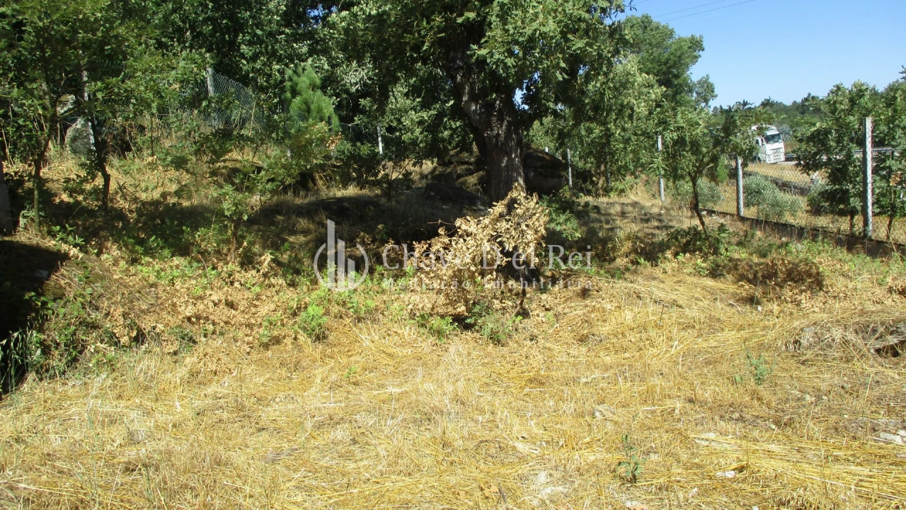 Quinta T0 para Venda em Freixiosa Foto 16