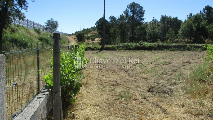 Quinta T0 para Venda em Freixiosa Foto 29