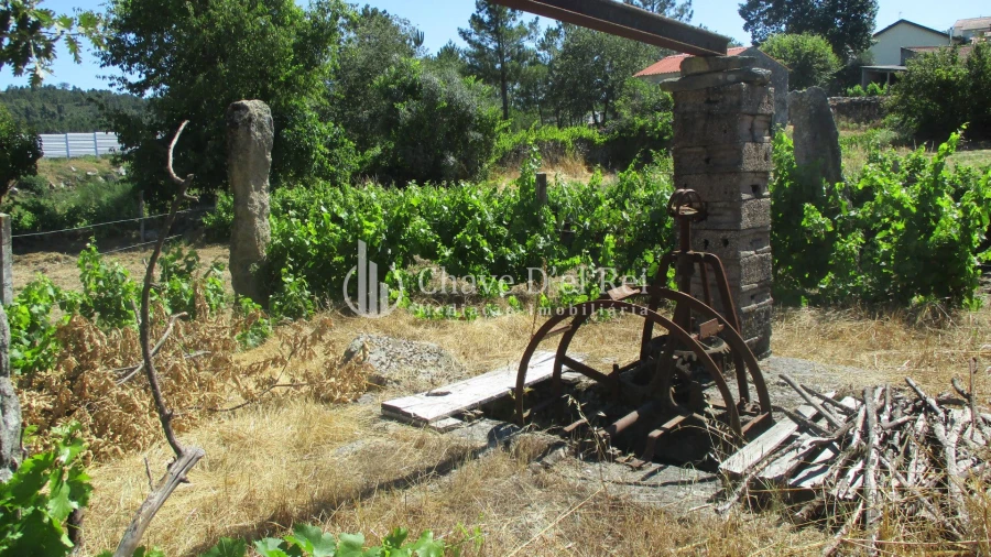 Quinta T0 para Venda em Freixiosa Foto 22