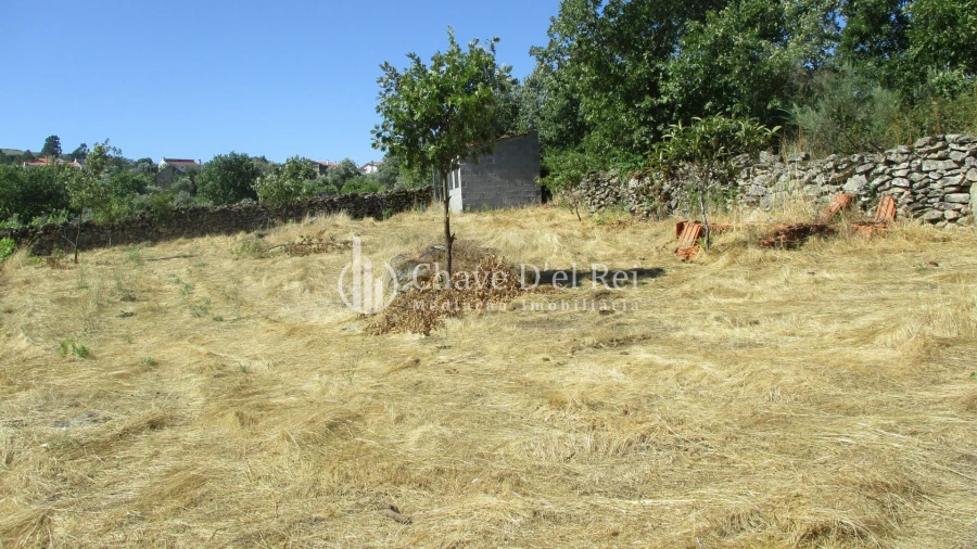 Quinta T0 para Venda em Freixiosa Foto 13