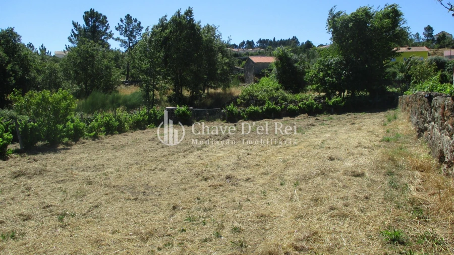 Quinta T0 para Venda em Freixiosa Foto 25