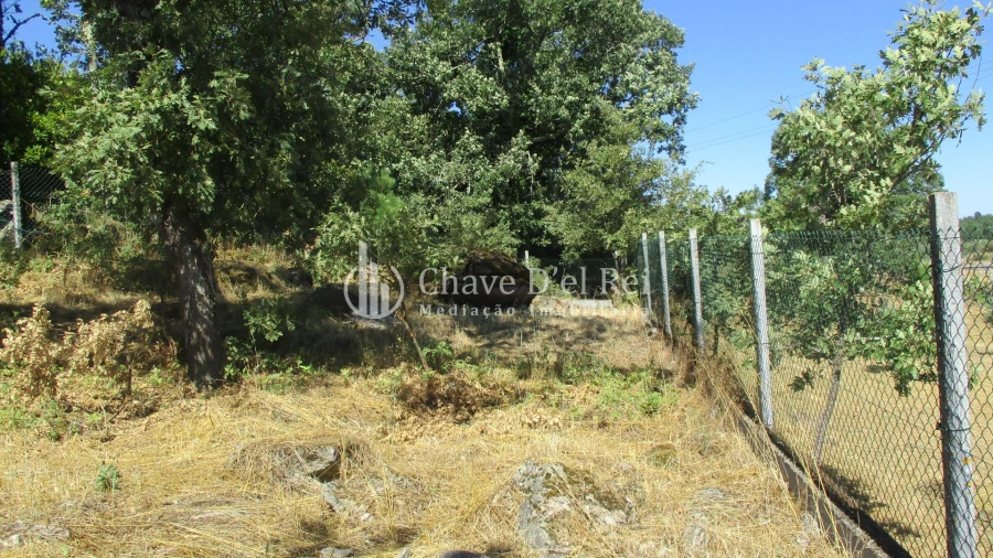 Quinta T0 para Venda em Freixiosa Foto 17