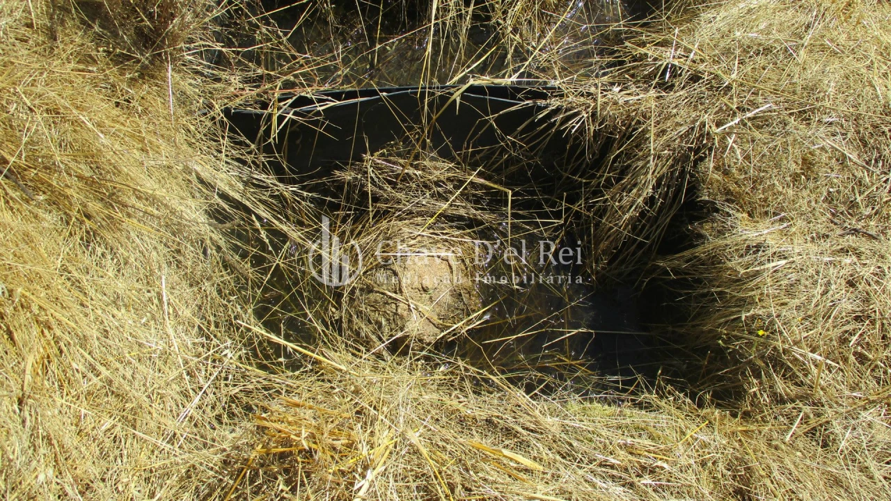 Quinta T0 para Venda em Freixiosa Foto 19