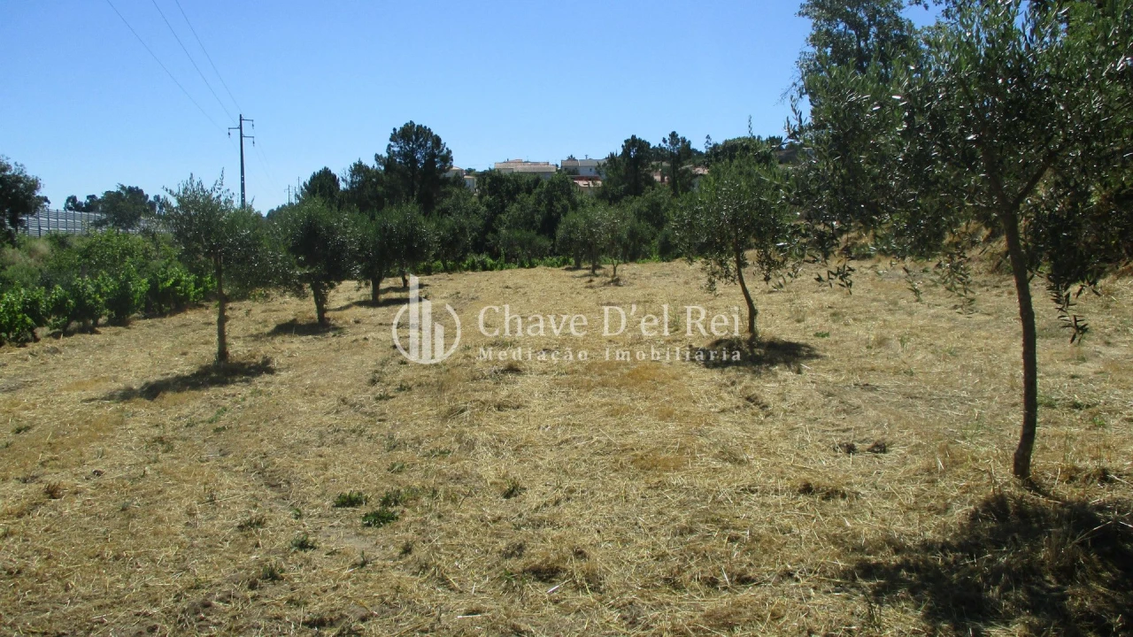 Quinta T0 para Venda em Freixiosa Foto 5