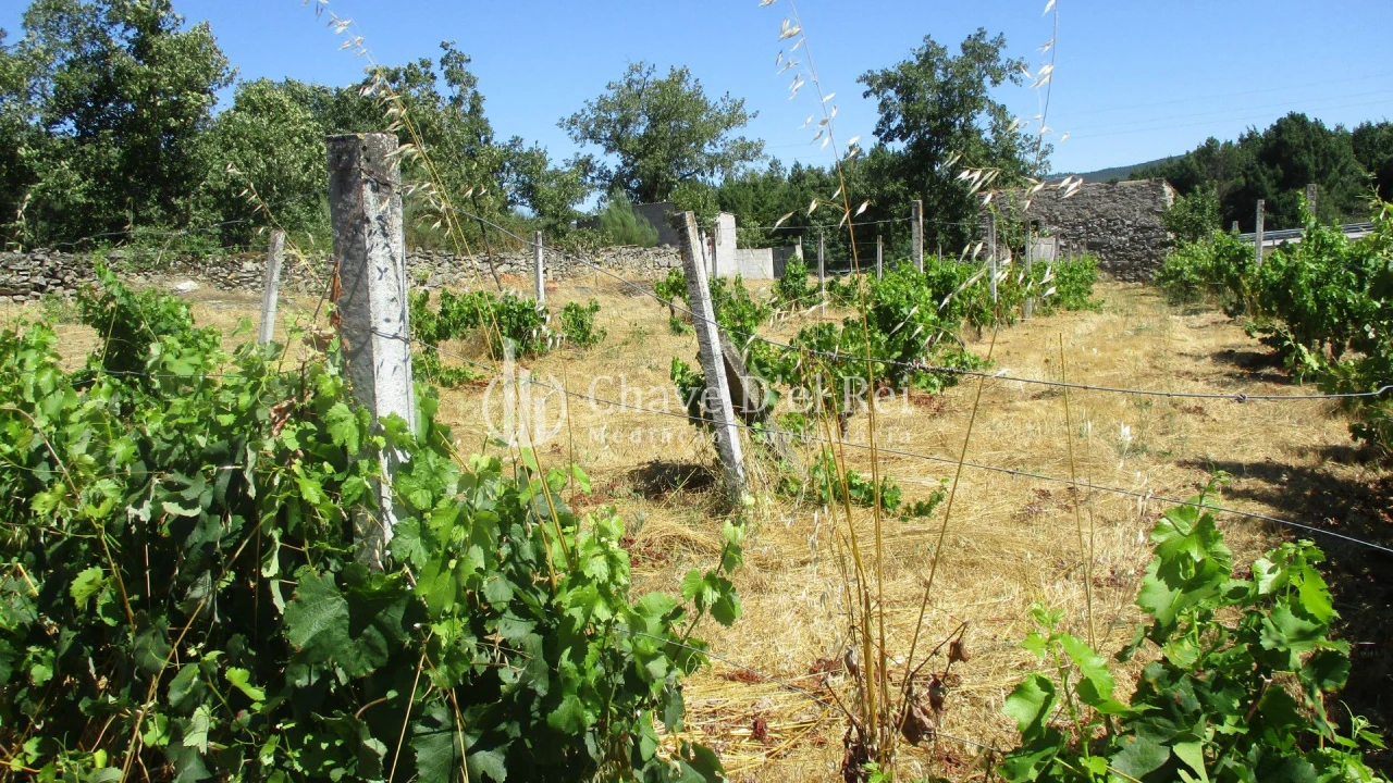 Quinta T0 para Venda em Freixiosa Foto 21