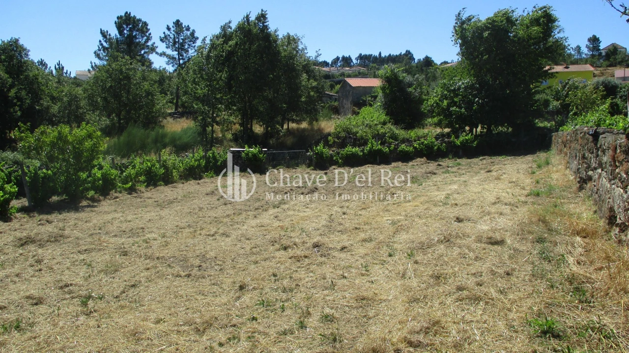 Quinta T0 para Venda em Freixiosa Foto 25