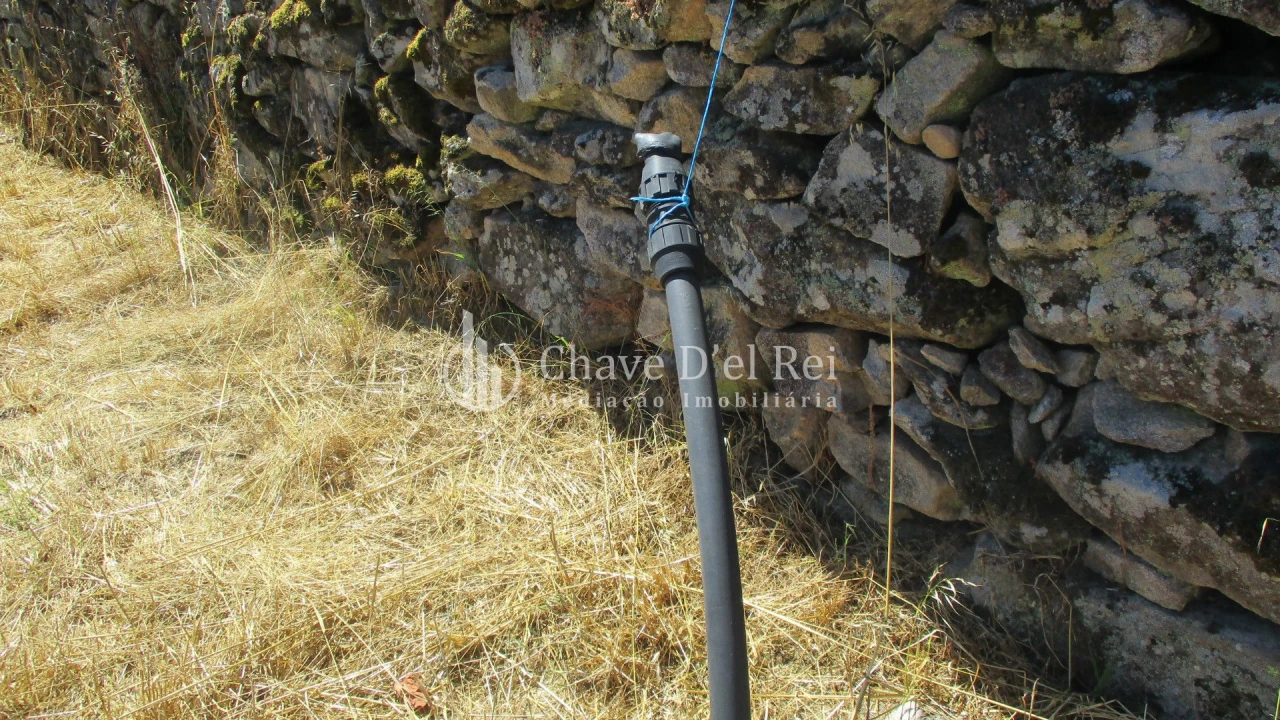 Quinta T0 para Venda em Freixiosa Foto 20