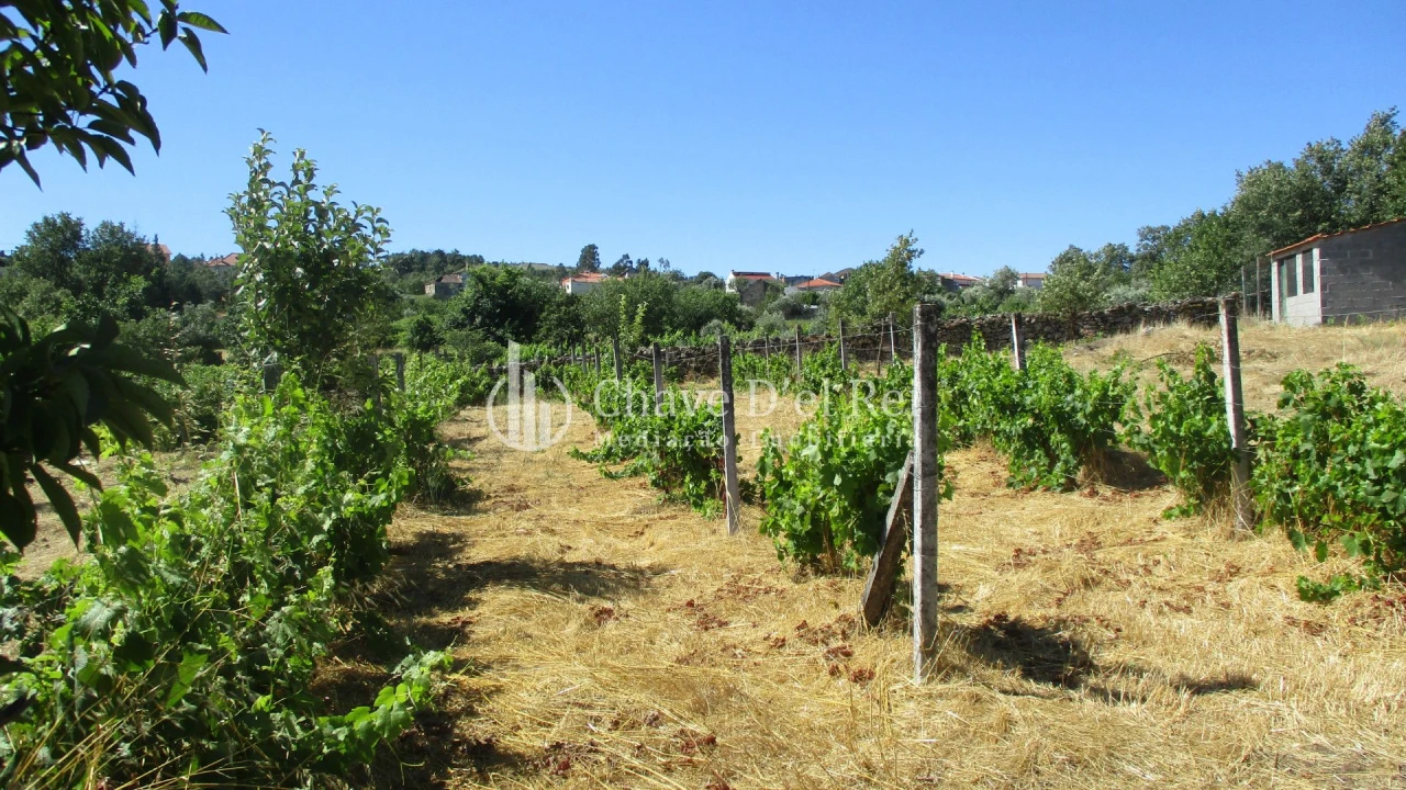 Quinta T0 para Venda em Freixiosa Foto 12