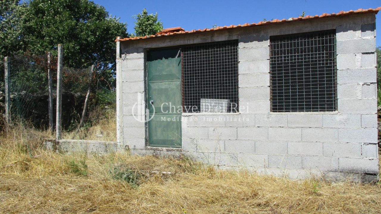 Quinta T0 para Venda em Freixiosa Foto 18