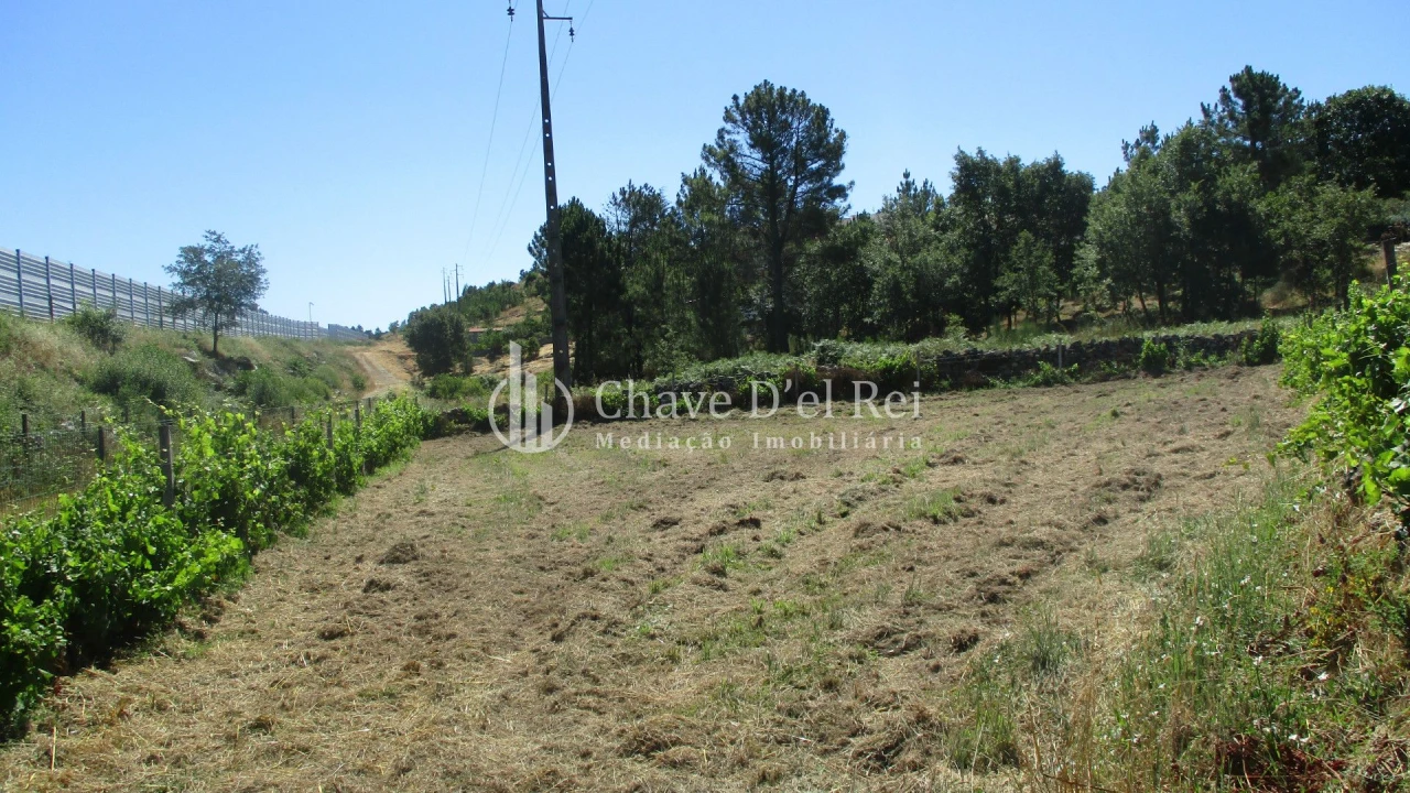 Quinta T0 para Venda em Freixiosa Foto 28