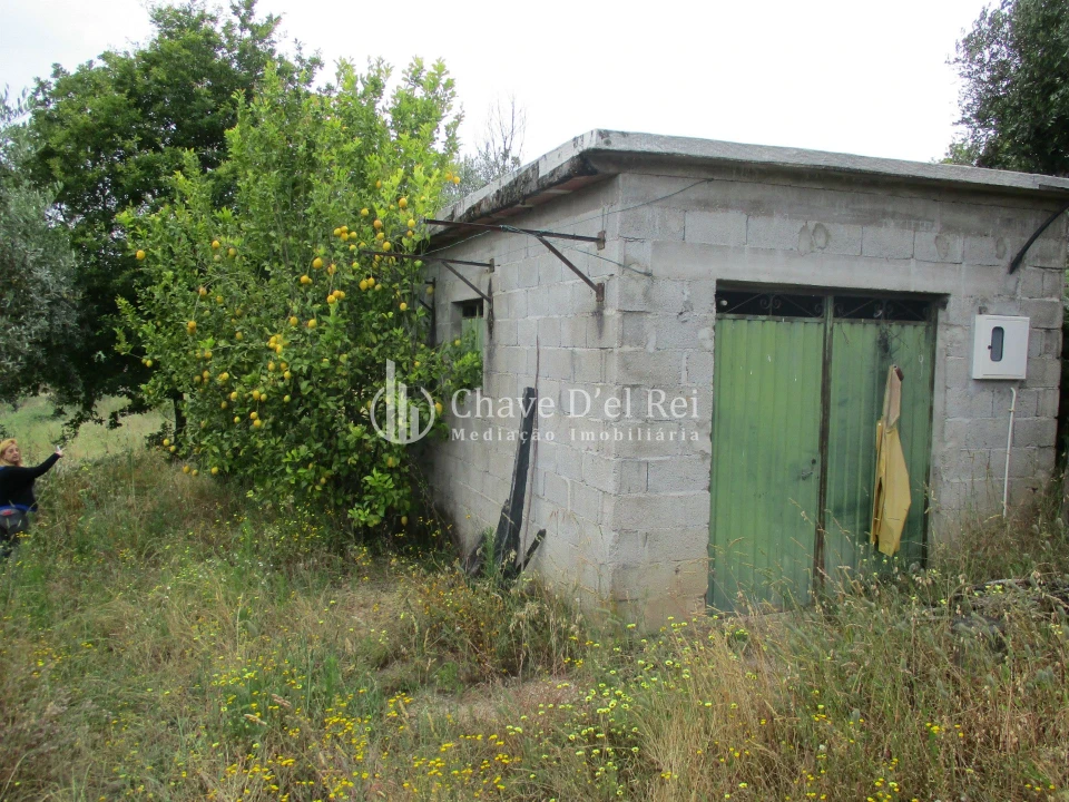 Quinta T0 para Venda em Santiago de Cassurrães e Póvoa de Cervães Foto 10
