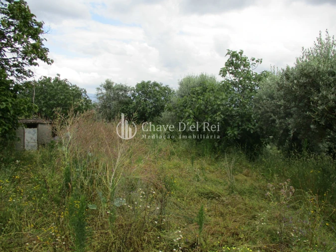 Quinta T0 para Venda em Santiago de Cassurrães e Póvoa de Cervães Foto 8