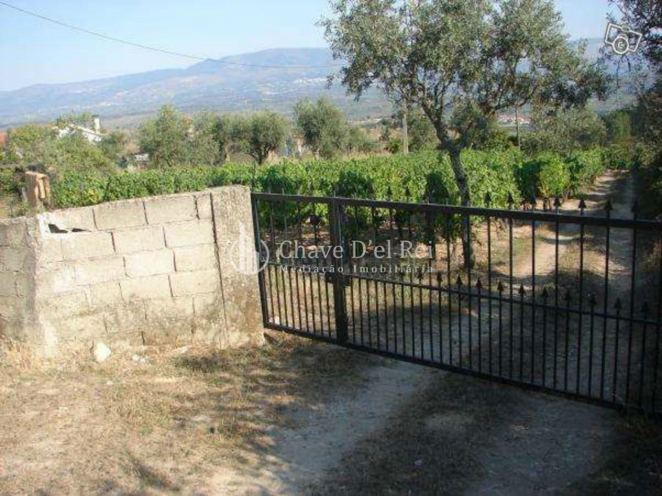 Quinta T0 para Venda em Santiago de Cassurrães e Póvoa de Cervães Foto 2
