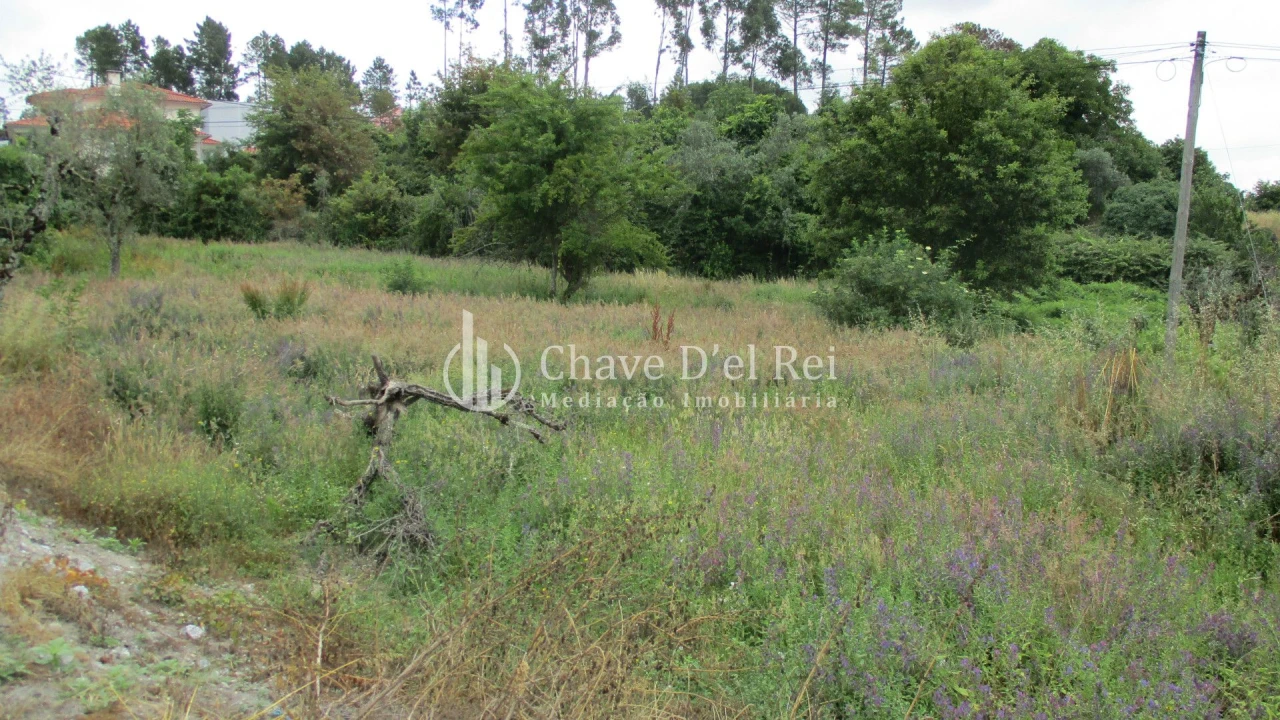 Terreno para Venda em Santos Evos Foto 11