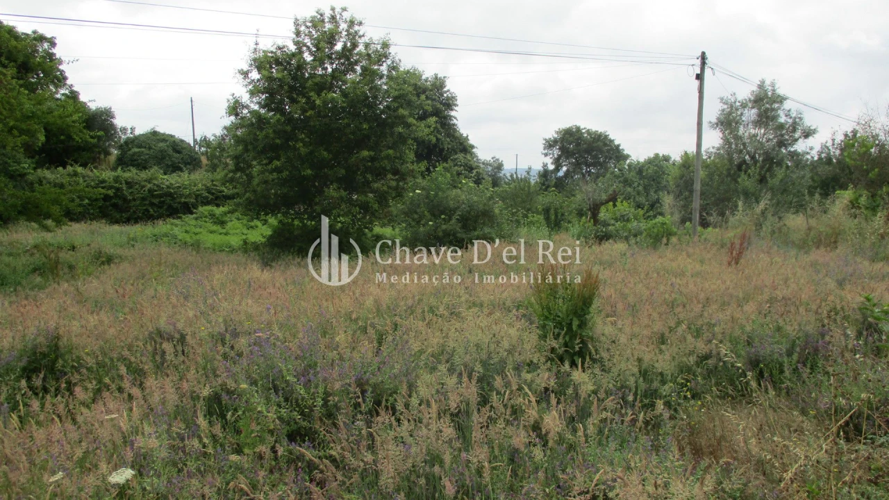 Terreno para Venda em Santos Evos Foto 10