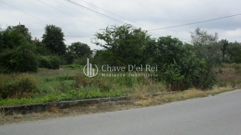 Terreno para Venda em Santos Evos