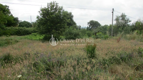 Terreno para Venda em Santos Evos