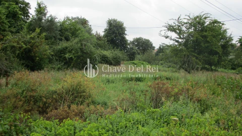 Terreno para Venda em Santos Evos