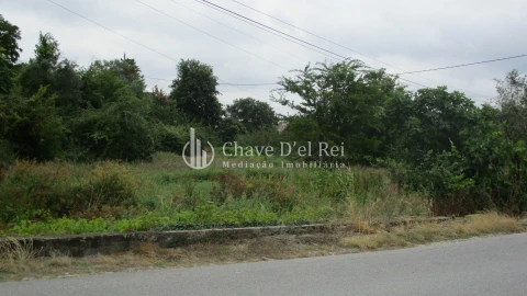 Terreno para Venda em Santos Evos
